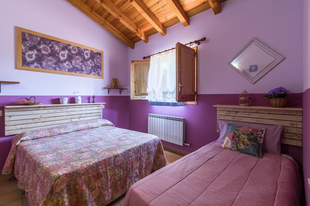 Can Sola La Vall De Bianya Sant Pere Despuig エクステリア 写真